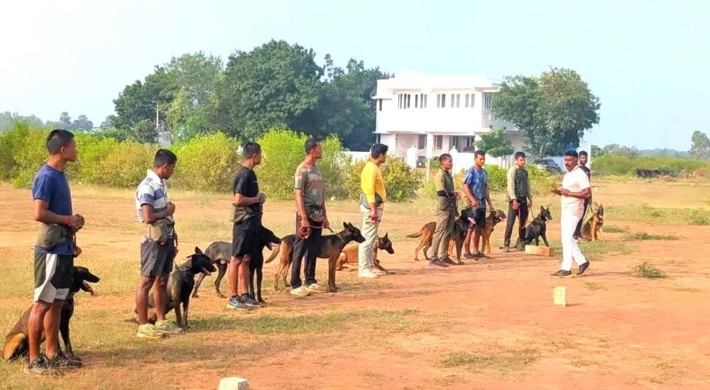 how to train a security dog