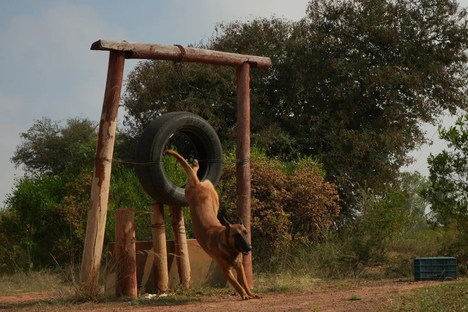 Pan India Coverage Map